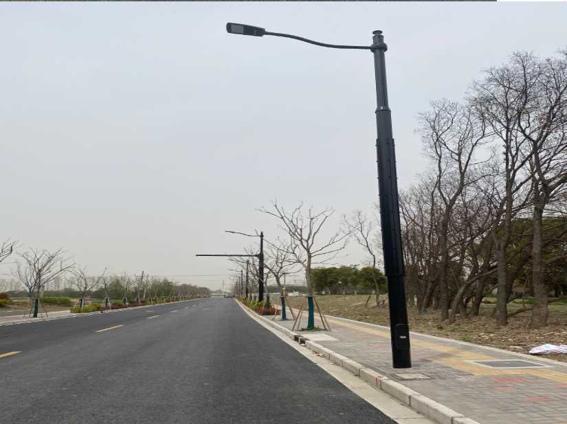 米林县上海综合杆 太阳能路灯工程